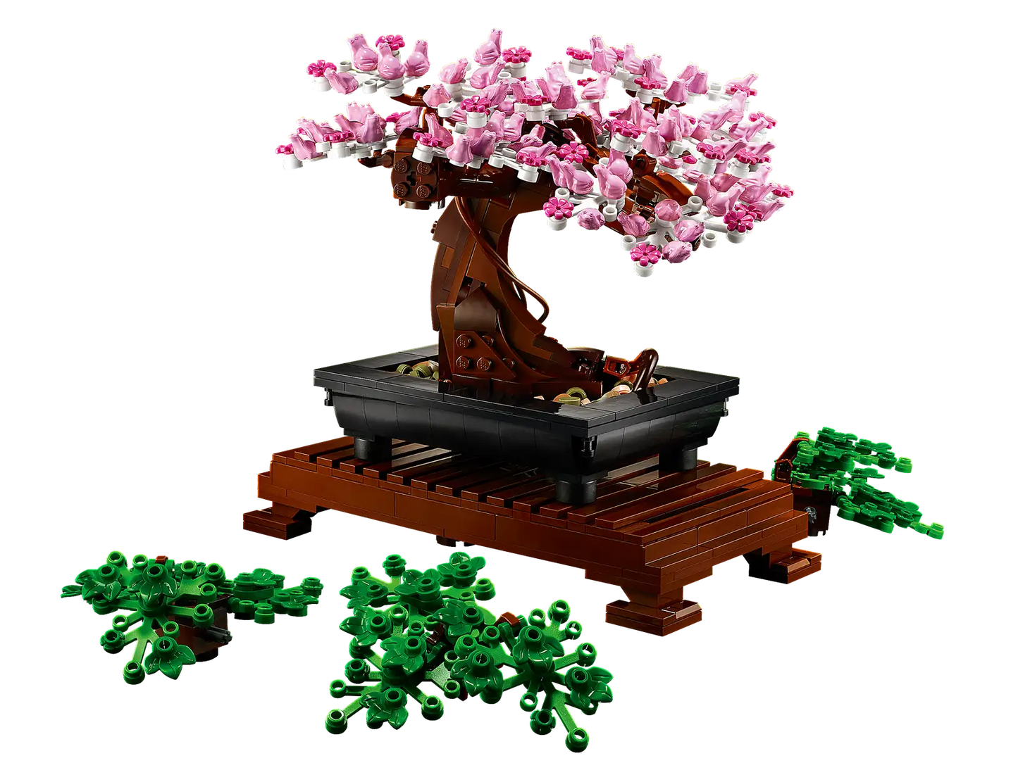 Bonsai Tree
