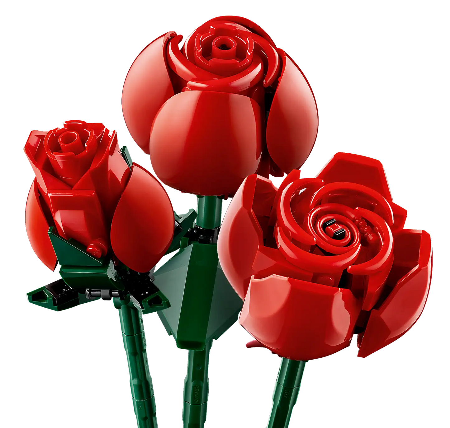 Bouquet of Roses