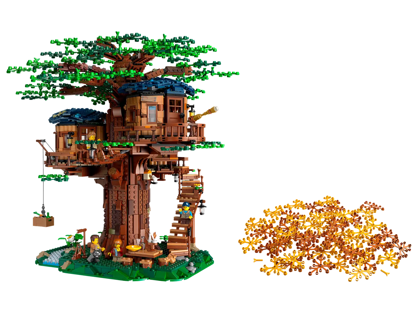 Tree House