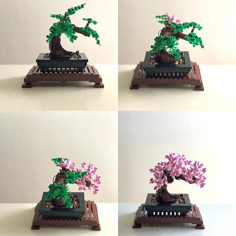 Bonsai Tree
