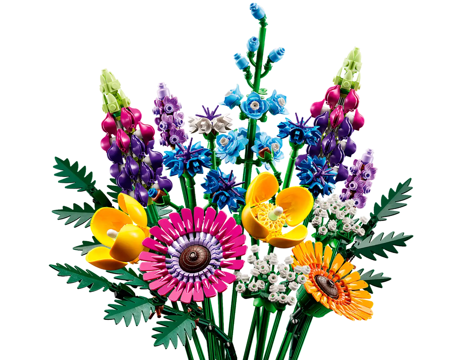 A bouquet of wild flowers