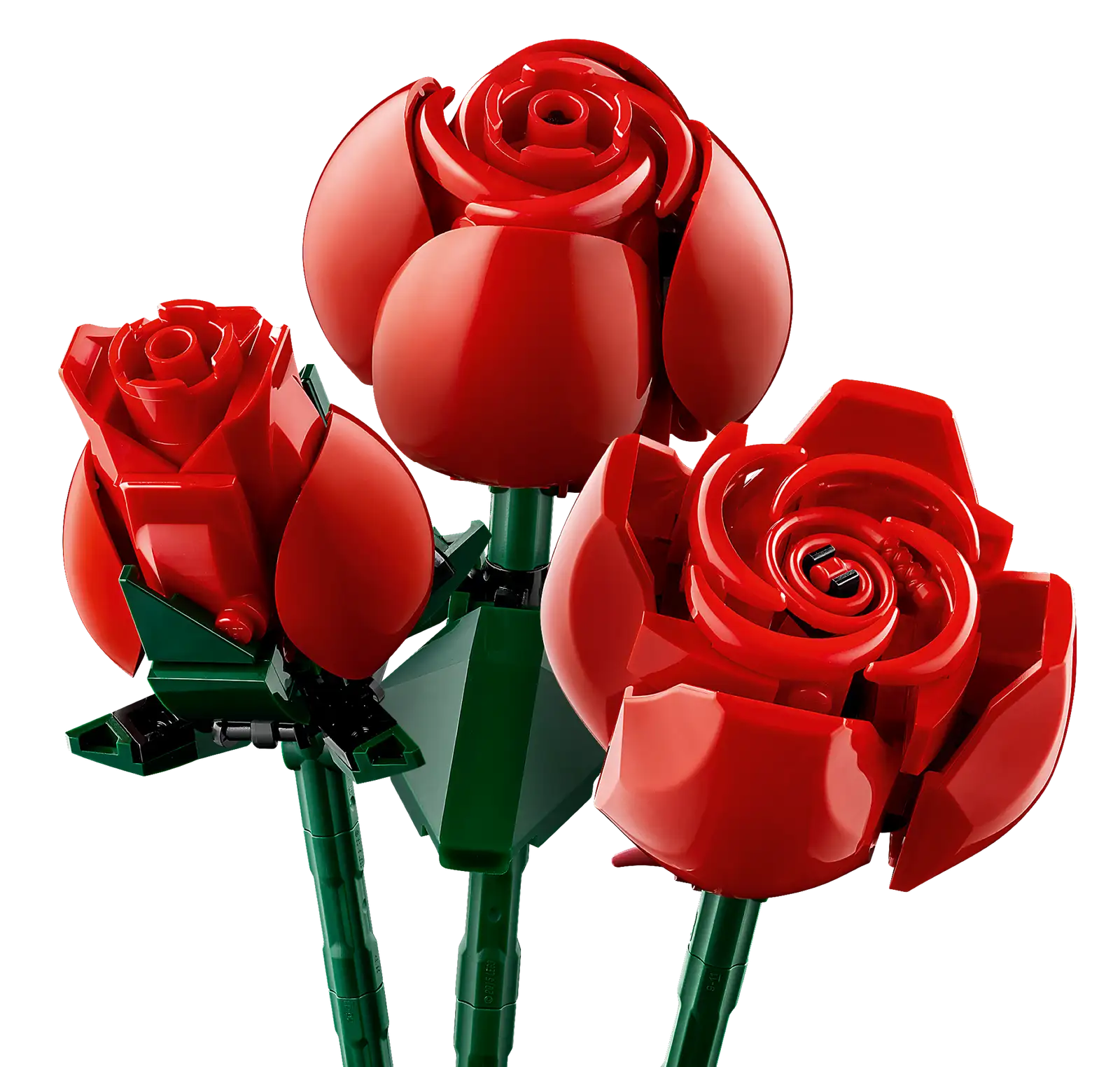 Bouquet of Roses