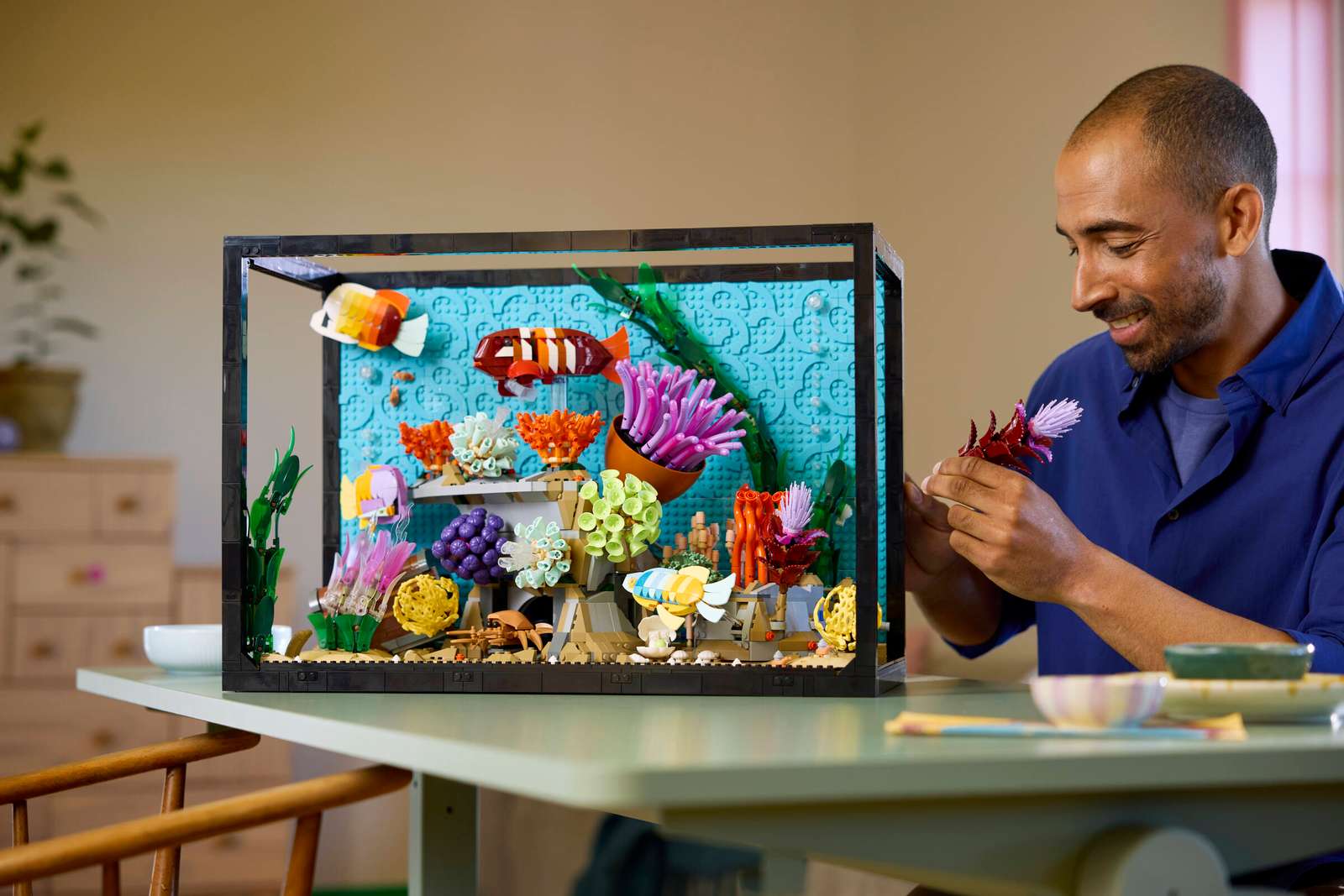 Tropical Aquarium