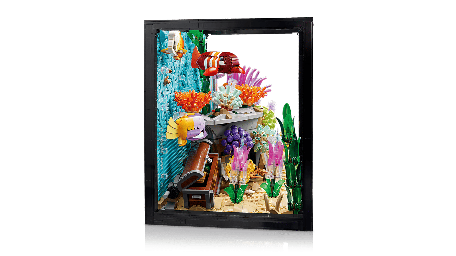 Tropical Aquarium
