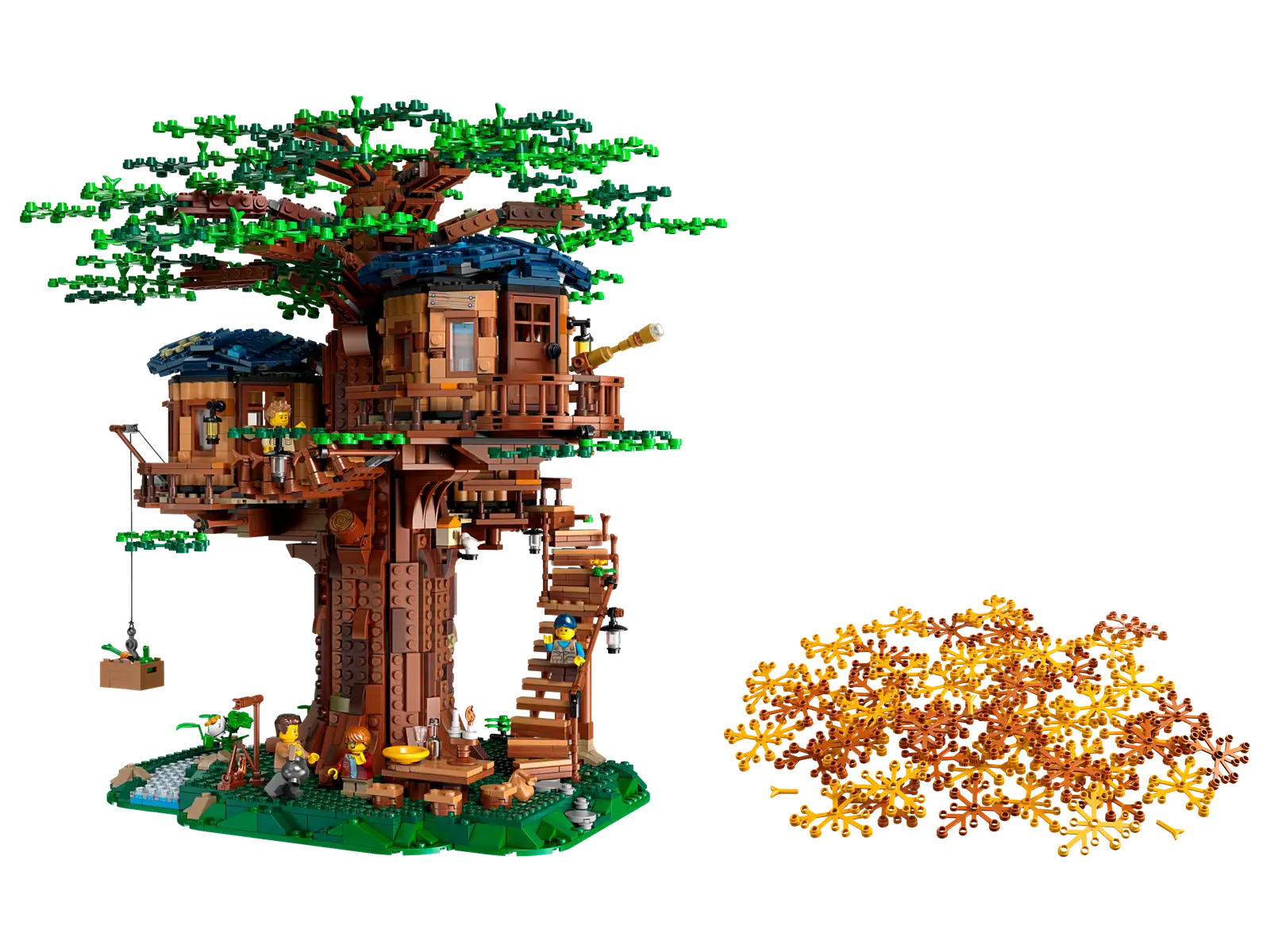 Tree House