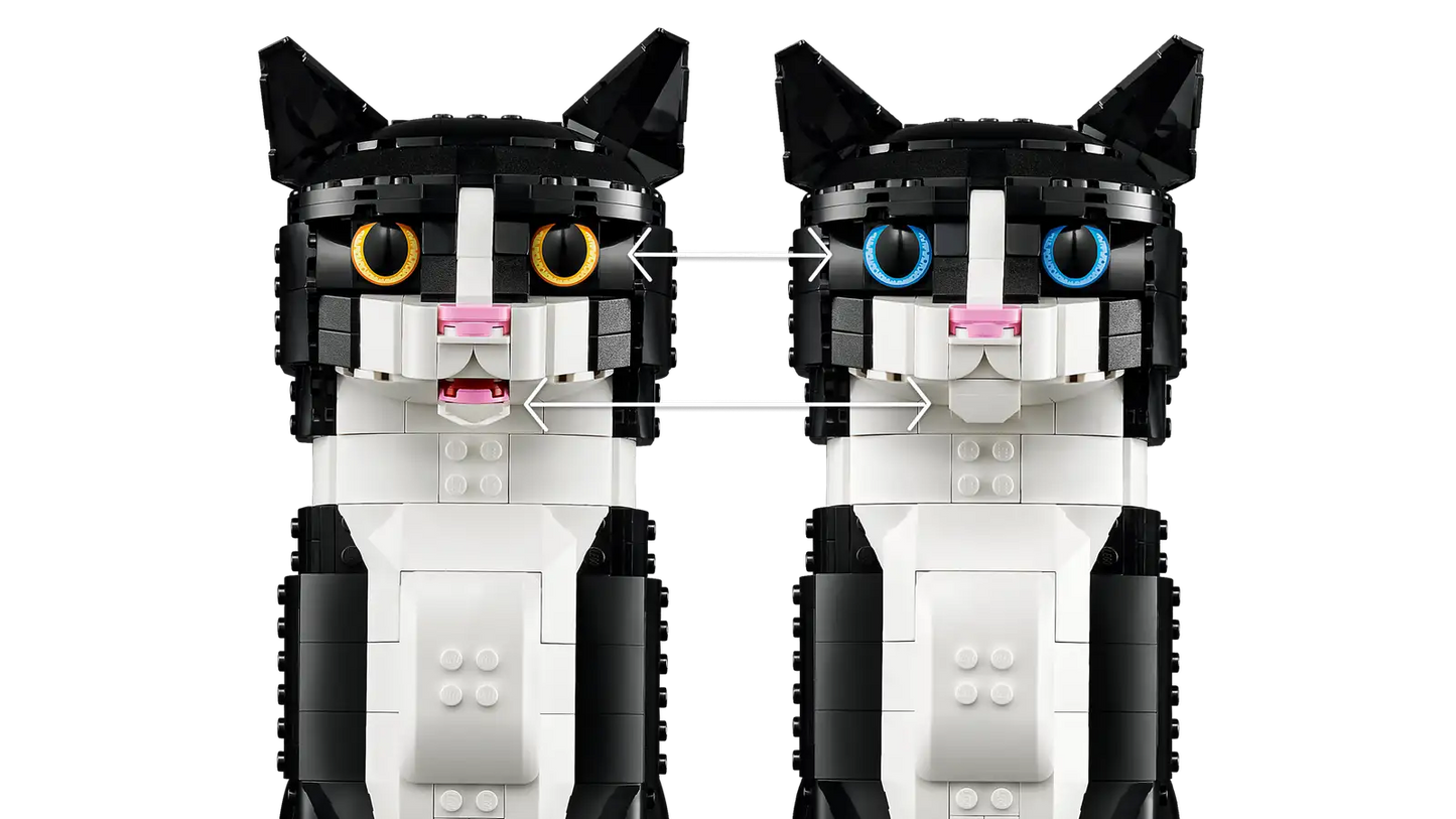 Tuxedo Cat