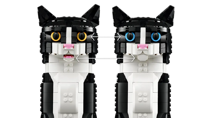 Tuxedo Cat