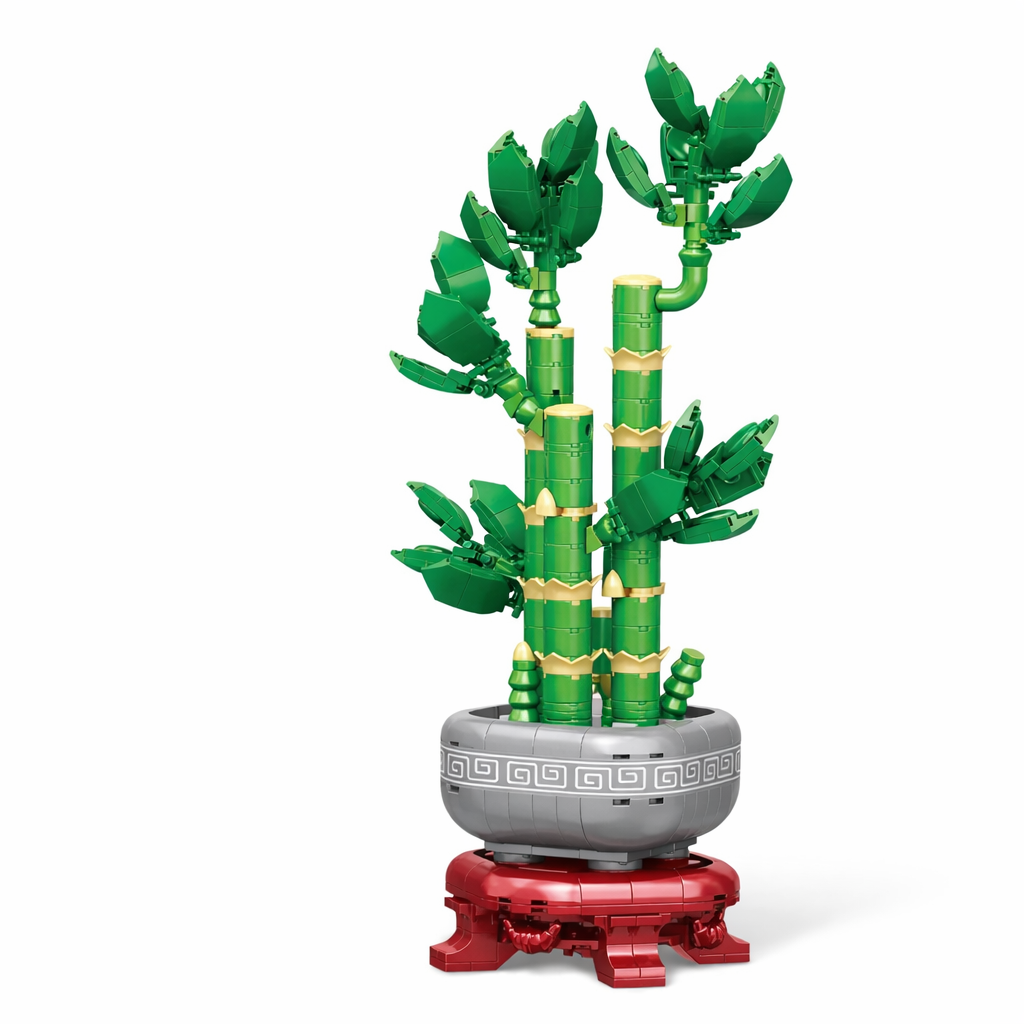 Lucky Bamboo