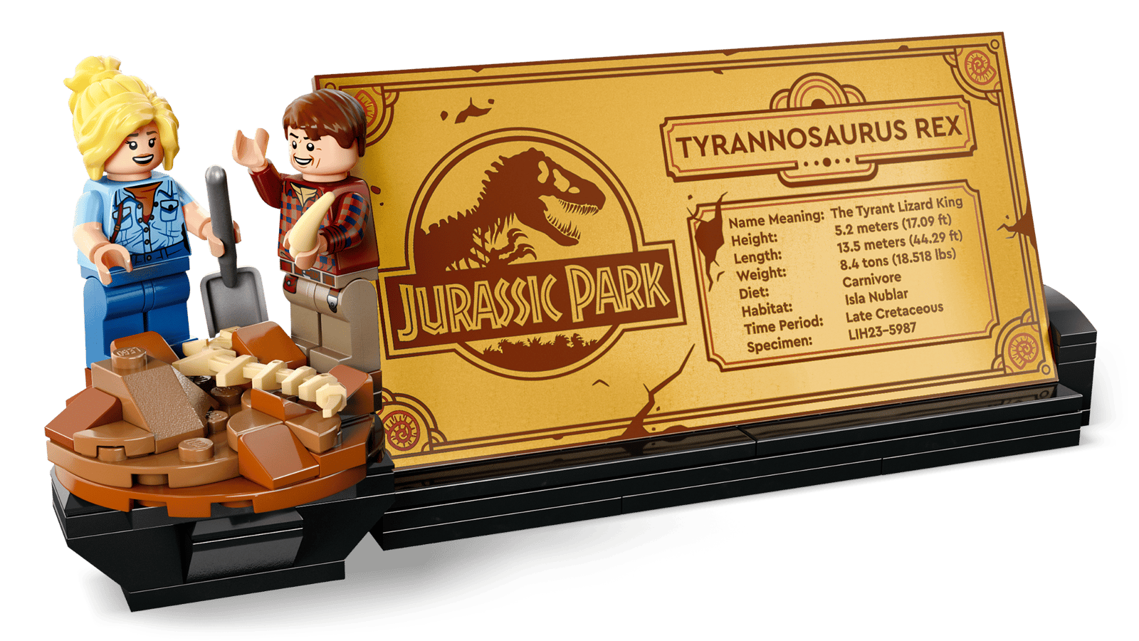 Dinosaurierfossilien: Tyrannosaurus Rex