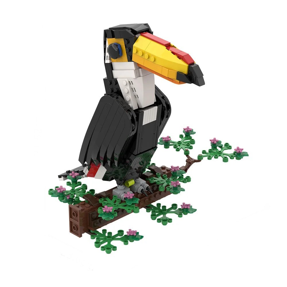 Toco Toucan