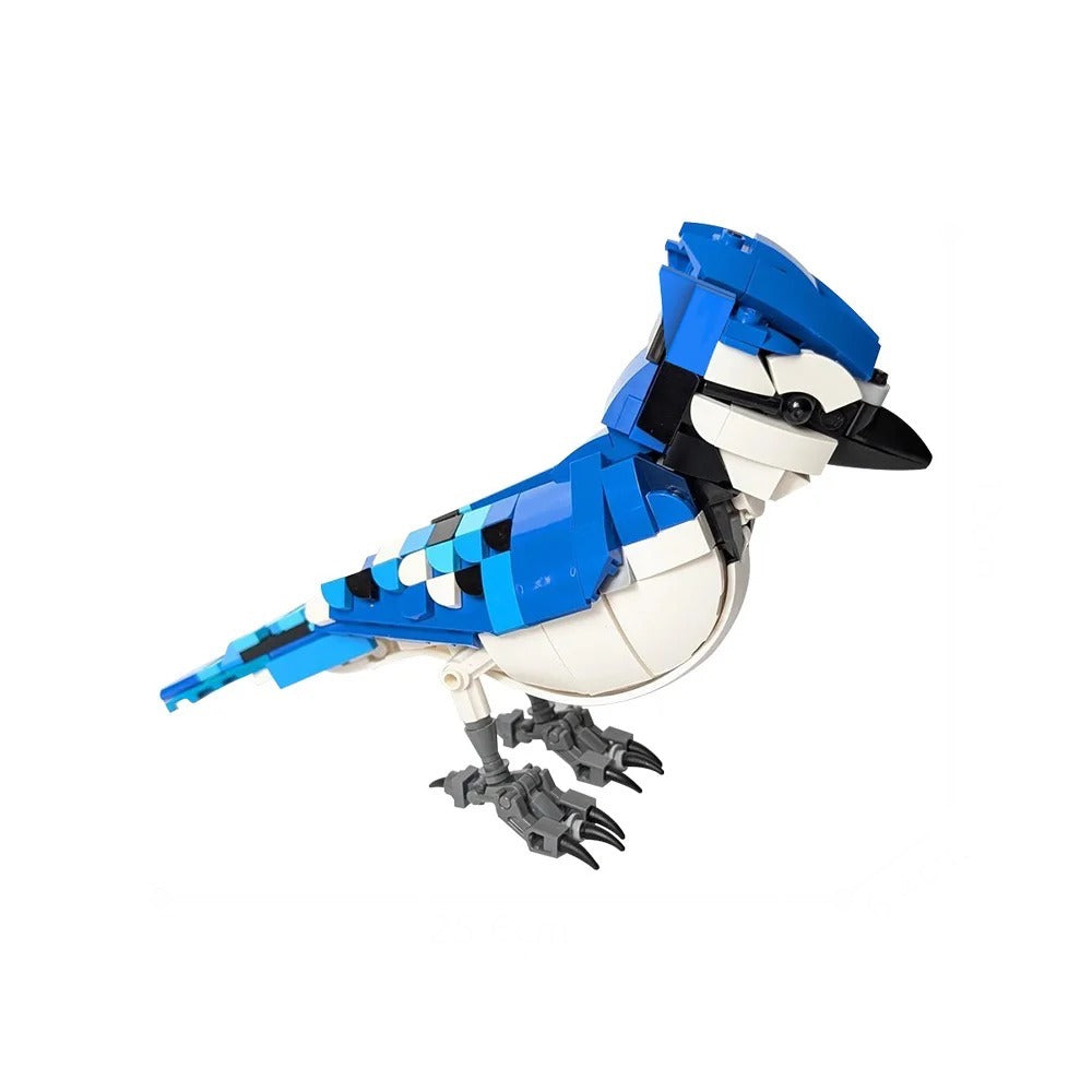 Blue Jay