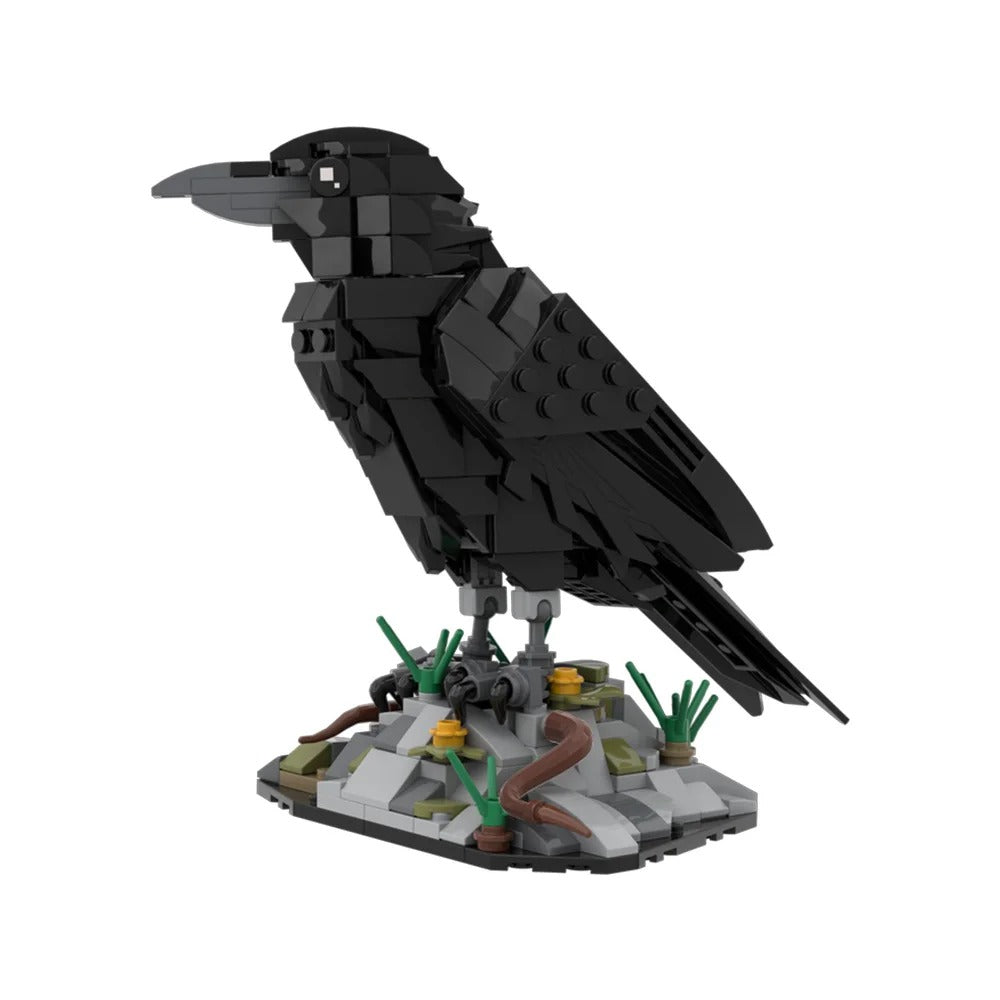 Black Crow