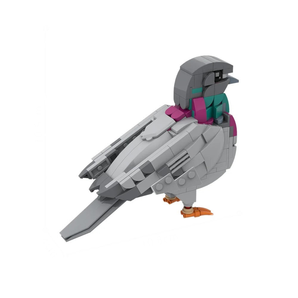 New York Pigeon