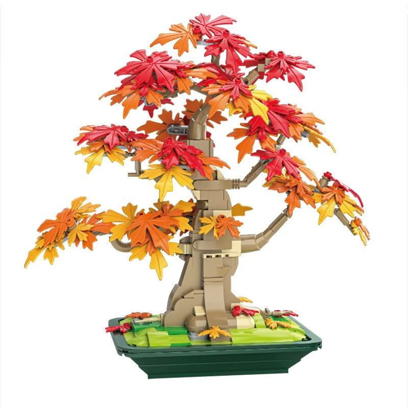 Maple Tree